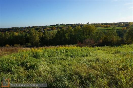Działka budowlana na sprzedaż Wierzchowie 1 200m2 Foto 1