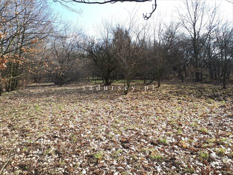 Działka budowlana na sprzedaż Kraków, Krowodrza, Wola Justowska, Orla 5 766m2 Foto 3