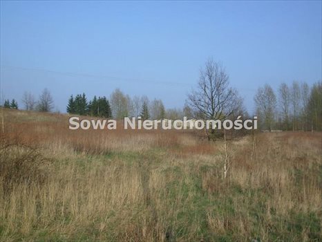 Działka inwestycyjna na sprzedaż Wałbrzych, Biały Kamień, Ludowa 3 300m2 Foto 3