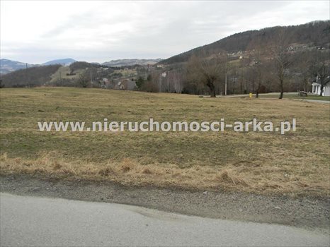 Działka budowlana na sprzedaż Sowliny 3 000m2 Foto 6