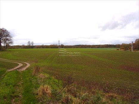 Lokal użytkowy na sprzedaż Golnice 200 000m2 Foto 11