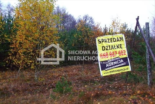 Działka leśna na sprzedaż Skwierawy 64 900m2 Foto 3