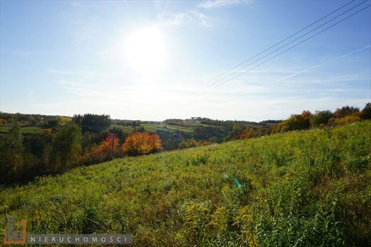 Działka budowlana na sprzedaż Wierzchowie 1 200m2 Foto 5