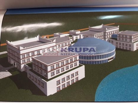 Działka inwestycyjna na sprzedaż Borki 98 000m2 Foto 1