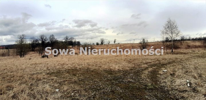Działka inna na sprzedaż Wałbrzych, Biały Kamień 8 563m2 Foto 8