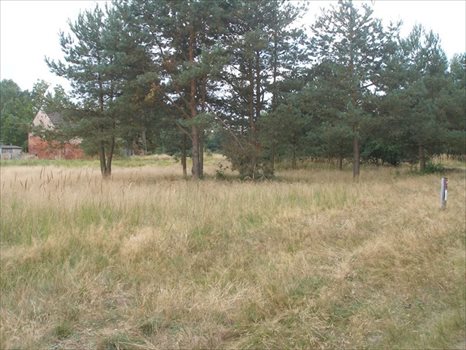 Działka budowlana na sprzedaż Wierzchosław 3 188m2 Foto 5