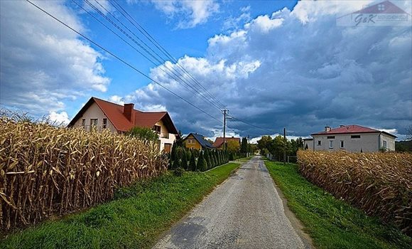 Działka budowlana na sprzedaż Ostrów 2 700m2 Foto 2