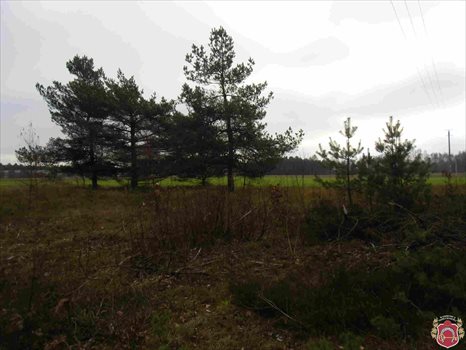 Działka budowlana na sprzedaż Kamień, Beżowa 1 152m2 Foto 7