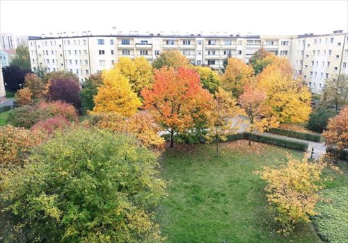 Mieszkanie trzypokojowe na sprzedaż Poznań, Stare Miasto, os. Powstańców Warszawy 61m2 Foto 1