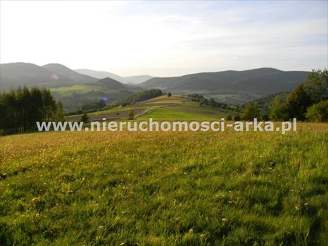Działka budowlana na sprzedaż Skrzydlna 7 400m2 Foto 2