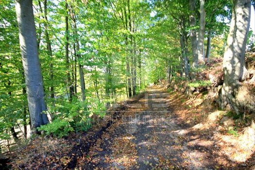 Działka siedliskowa na sprzedaż Grabówko, Jezioro, Las, Grabówko 3 100m2 Foto 12