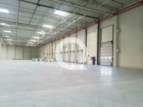 Lokal użytkowy na wynajem Elbląg 3 780m2 Foto 4