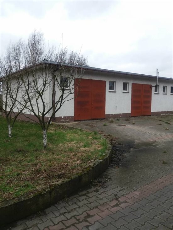Lokal użytkowy na sprzedaż Maszewo, Stargardzka 360m2 Foto 6