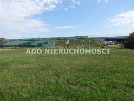 Działka inna na sprzedaż Gliwice 3 686m2 Foto 3