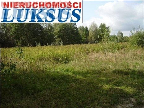 Działka budowlana pod dzierżawę Prażmów, Nowy Prażmów, Sporna 25 806m2 Foto 3