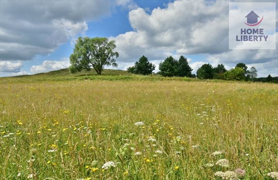 Działka budowlana na sprzedaż Giedajty 1 586m2 Foto 1