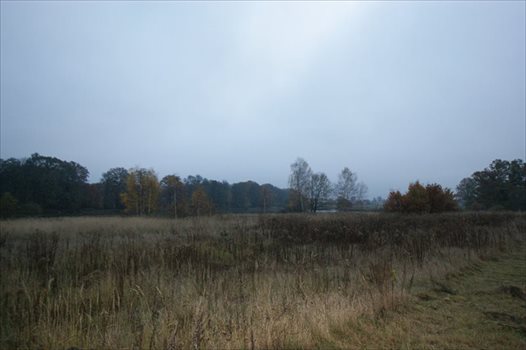 Działka budowlana na sprzedaż Tułowice 1 010m2 Foto 4