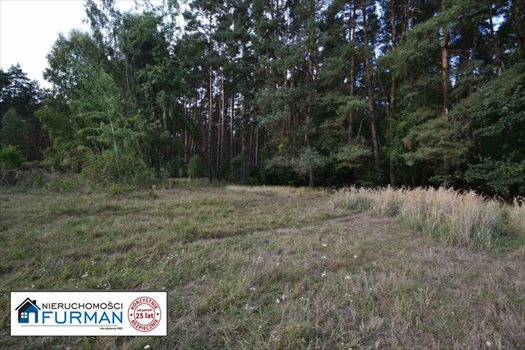 Działka siedliskowa na sprzedaż Biała 28 600m2 Foto 5