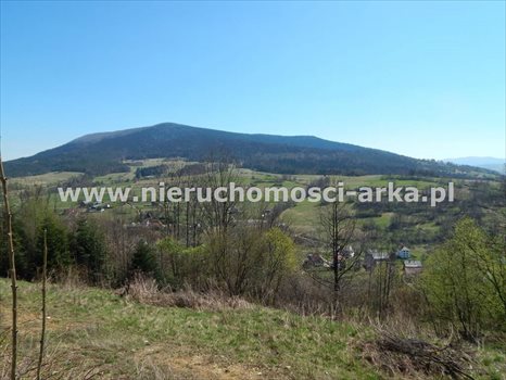 Działka budowlana na sprzedaż Mszana Dolna 4 400m2 Foto 4