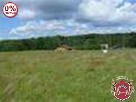 Działka budowlana na sprzedaż Koleczkowo, BIESZKE 988m2 Foto 1