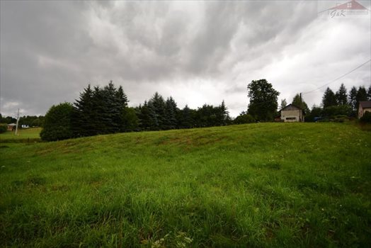 Działka budowlana na sprzedaż Przybówka 1 800m2 Foto 2
