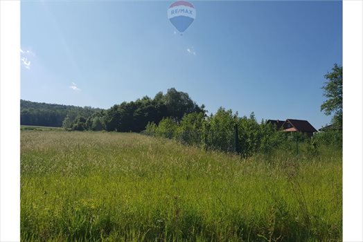 Działka budowlana na sprzedaż Grodziec 1 220m2 Foto 5