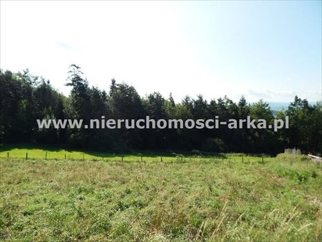 Działka budowlana na sprzedaż Mszana Dolna 1 300m2 Foto 3