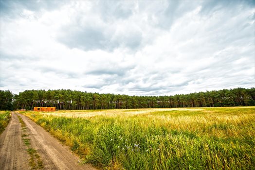 Działka budowlana na sprzedaż Gościnowo, Działki budowlane pod lasem 472m2 Foto 2