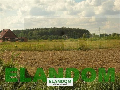 Działka budowlana na sprzedaż Kamieńczyk 1 080m2 Foto 3