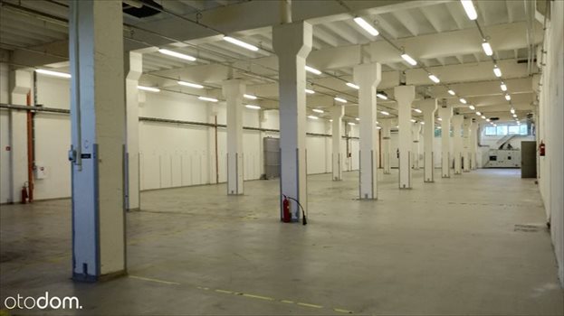 Lokal użytkowy na wynajem BEZPOSRENIO - Magazyn Białystok 2700 m2 - wys. 11m 2 700m2 Foto 9