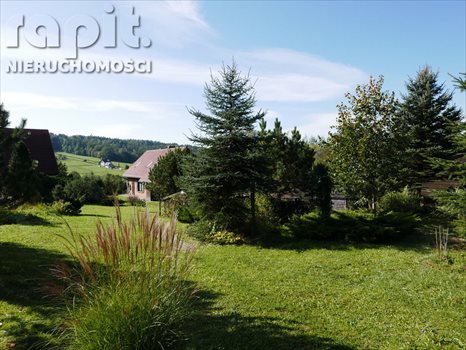 Działka budowlana na sprzedaż Włosań 3 794m2 Foto 2
