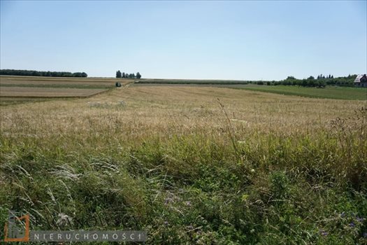 Działka budowlana na sprzedaż Cianowice Duże 2 000m2 Foto 5