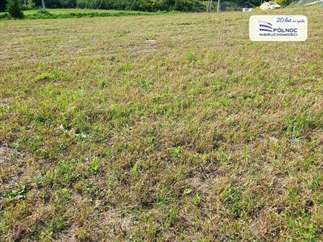 Działka budowlana na sprzedaż Kraków, Zwierzyniec 4 118m2 Foto 5