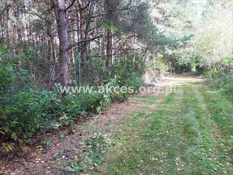 Działka budowlana na sprzedaż Prace Duże 3 000m2 Foto 5