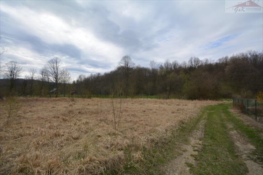 Działka rekreacyjna na sprzedaż Nowe Sady 2 900m2 Foto 5