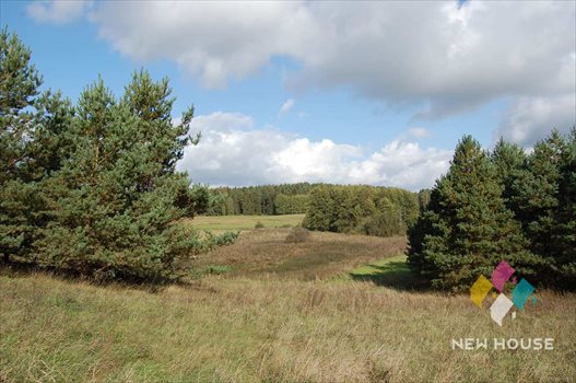 Działka inna na sprzedaż Lamkowo 53 300m2 Foto 6