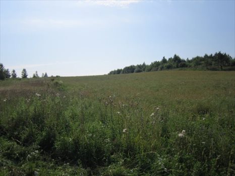 Działka przemysłowo-handlowa na sprzedaż Jankowo Gdańskie, Przy Obwodnicy Trójmiejskiej 30 800m2 Foto 3