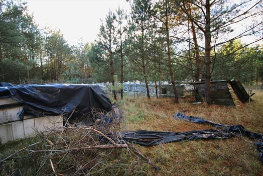 Działka inna na sprzedaż Postołowo, Cząstkowo 15 200m2 Foto 5