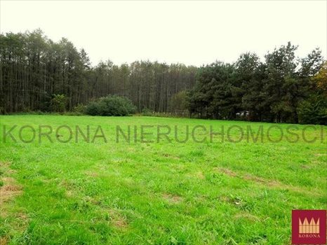 Działka budowlana na sprzedaż Rybnik 3 990m2 Foto 3