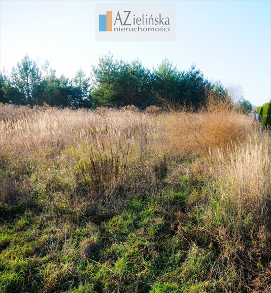 Działka budowlana na sprzedaż Poznań, Morasko, Jaśkowiaka, Radojewo, Morasko 1 450m2 Foto 4