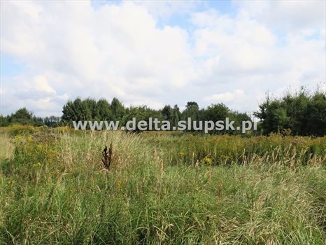 Działka inna na sprzedaż Kobylnica 1 082m2 Foto 4