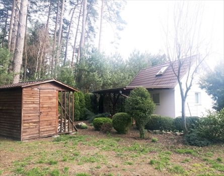Działka rekreacyjna na sprzedaż Morzyczyn 900m2 Foto 2