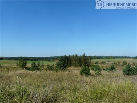 Działka budowlana na sprzedaż Potrzanowo 25 642m2 Foto 5