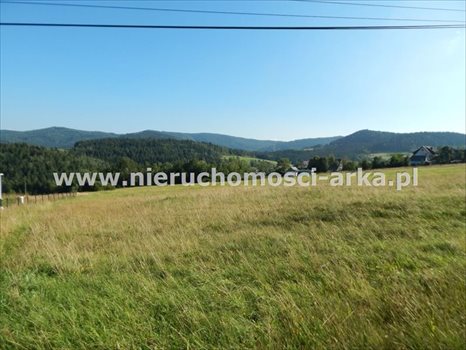 Działka budowlana na sprzedaż Wilczyce 700m2 Foto 2