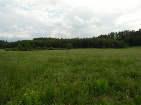 Dom na sprzedaż Krępkowice 140m2 Foto 9