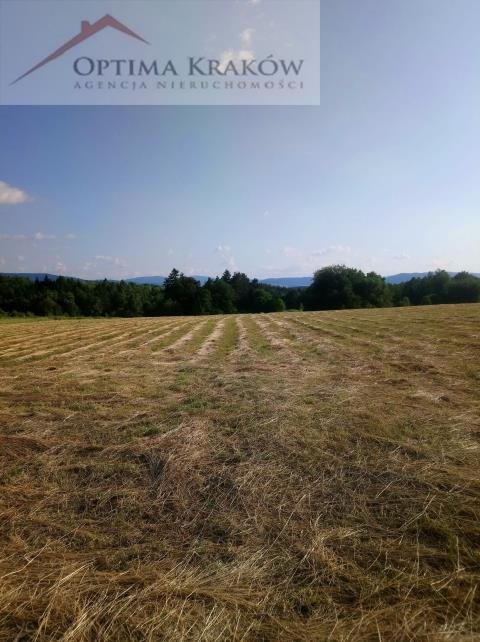 Działka budowlana na sprzedaż Borzęta 16 000m2 Foto 2