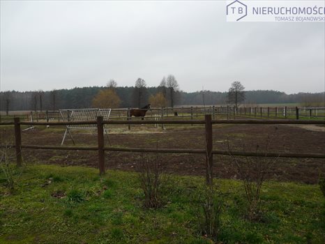 Działka inna na sprzedaż Szamotuły 15 890m2 Foto 7