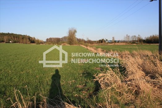 Działka siedliskowa na sprzedaż Stara Kiszewa 8 767m2 Foto 9