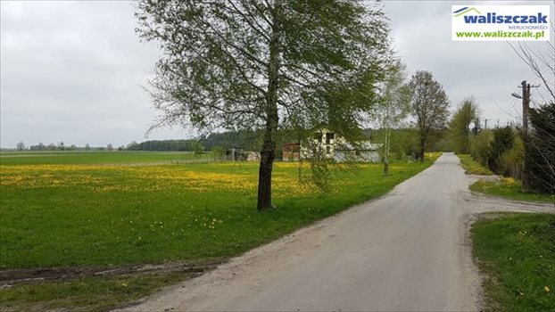Działka budowlana na sprzedaż Włodzimierzów 3 500m2 Foto 3