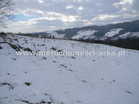 Działka budowlana na sprzedaż Walowa Góra 4 800m2 Foto 7
